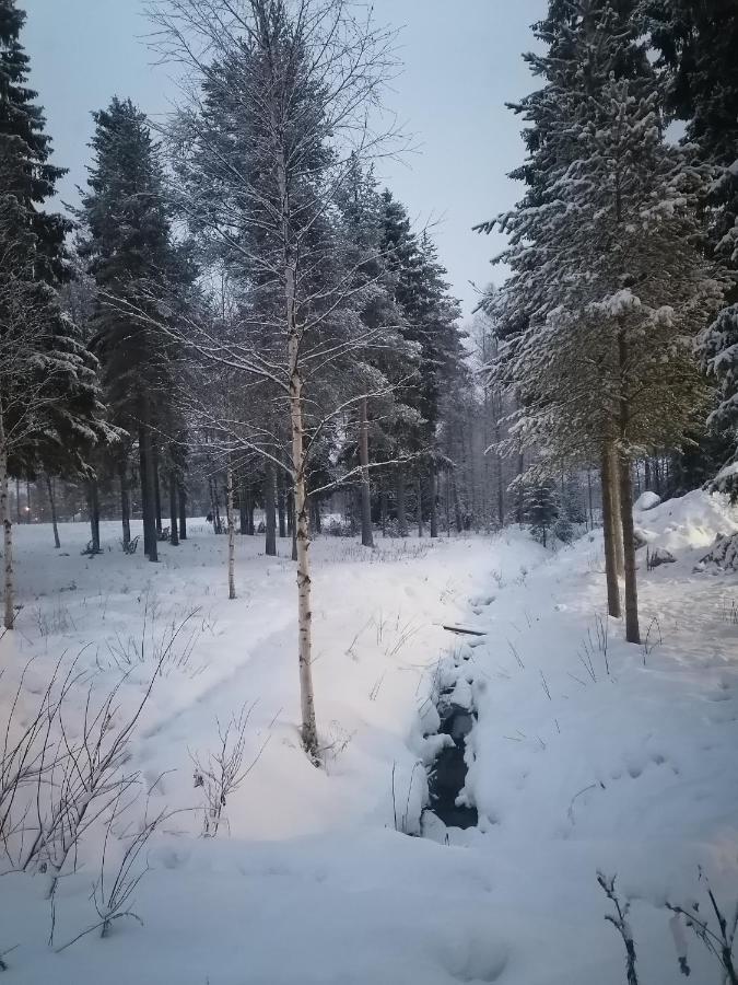 Hostel Tikka Rovaniemi Buitenkant foto